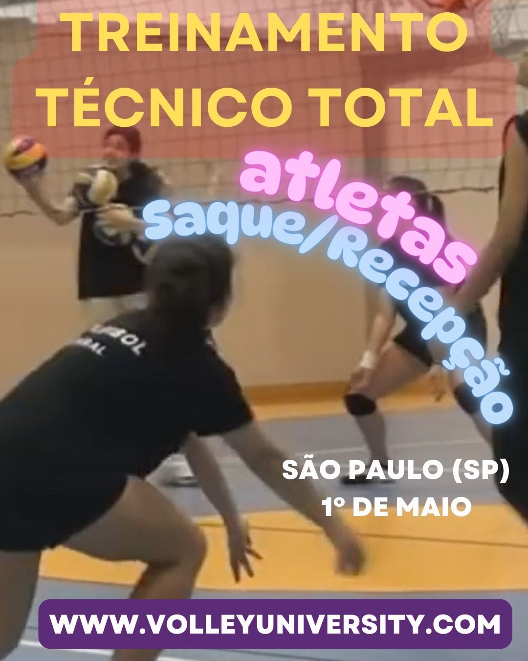 O que você pode esperar