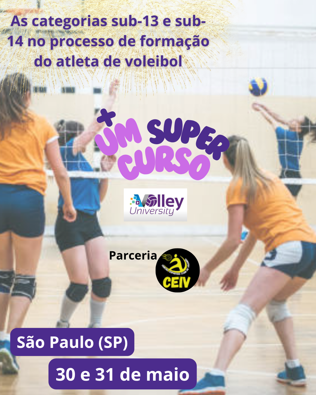 O que você pode esperar