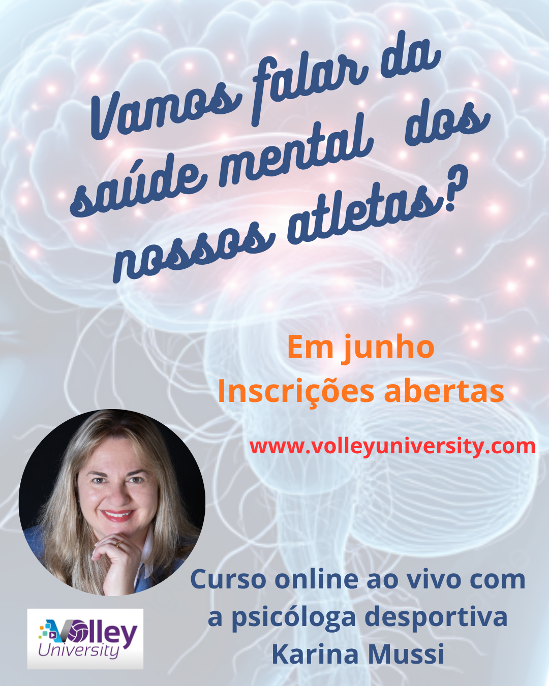 O que você pode esperar